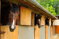 free Abinger Common stable construction quotes